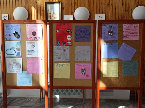 A „Zöld böjt” jegyében zajlott az Egészségnap a Lampingban